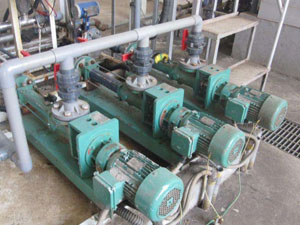 Screw pump case